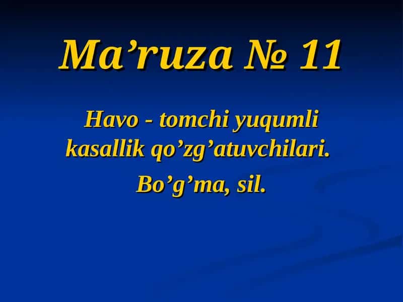 Bo’g’ma Sil