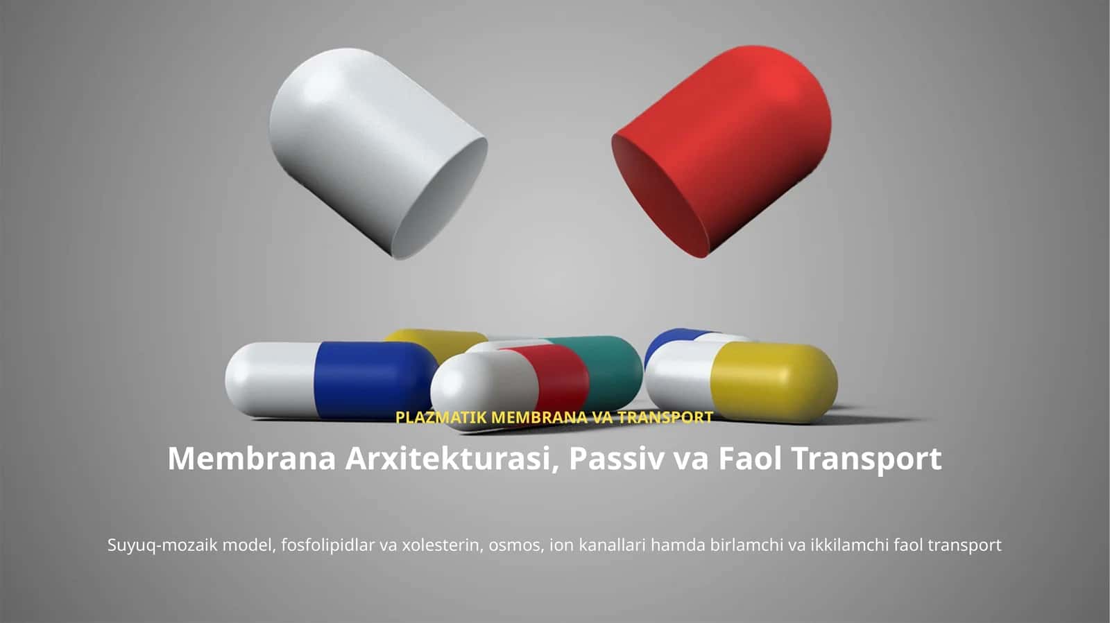 Plazmatik Membrana Tuzilishi va Modda Transporti
