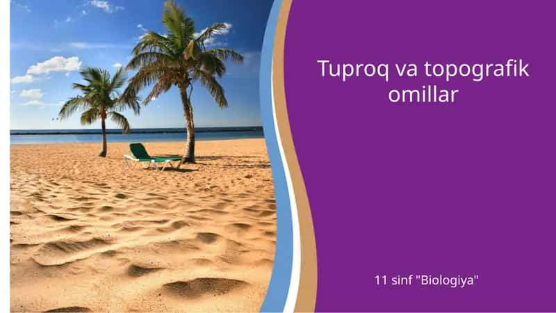 Tuproq va topografik omillar