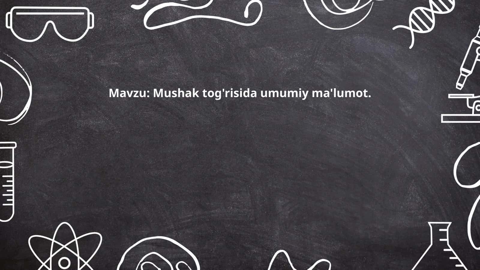 Mushak tog'risida umumiy ma'lumot