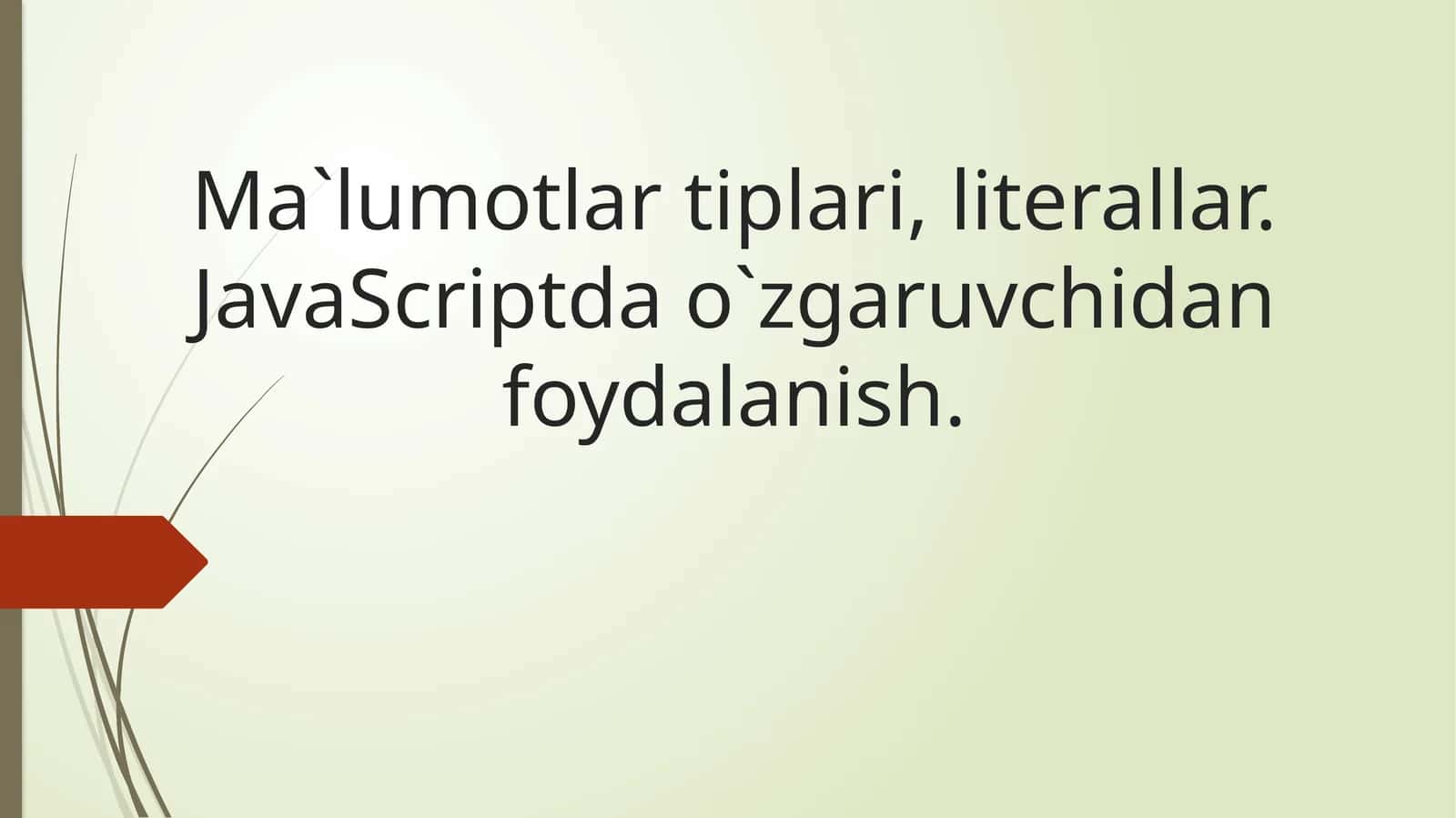 Ma`lumotlar tiplari, literallar