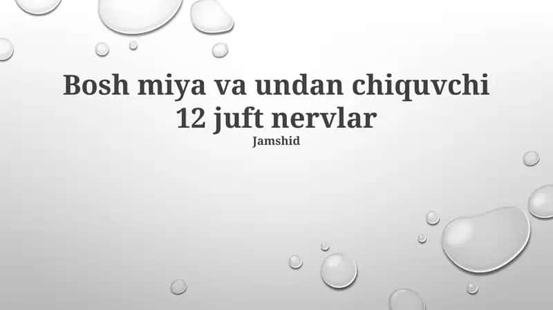 Bosh miya va undan chiquvchi 12 juft nervlar