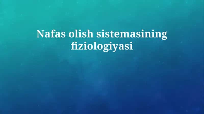 Nafas olish sistemasining fiziologiyasi