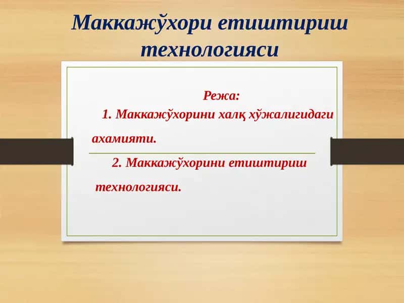 Маккажўхорини етириш технологияси