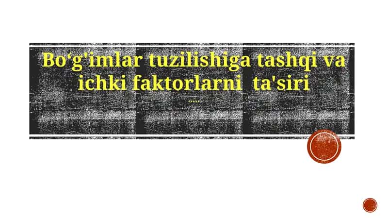 Bo‘g'imlar tuzilishiga ta'sir qiluvchi omillar