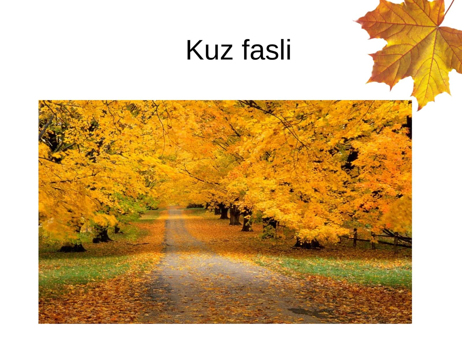 Kuz fasli