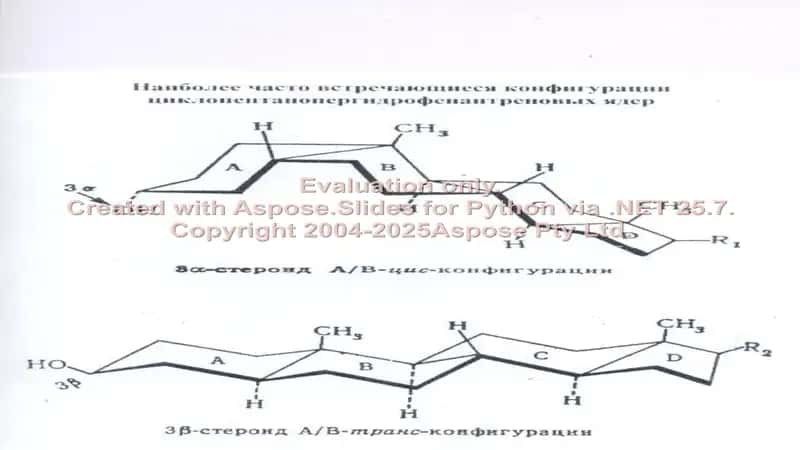 Sabunlanmaydigan lipidlar
