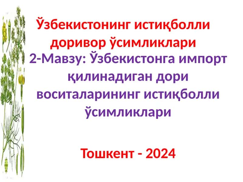 Тиконакликовул – Каперс колючий