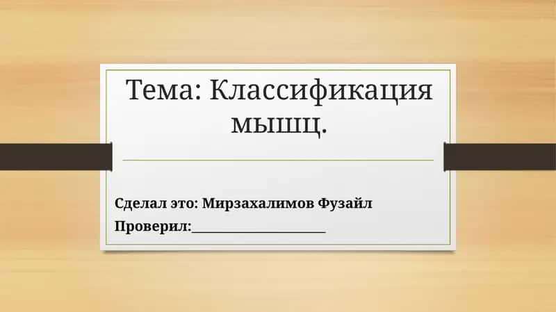 Классификация мышц