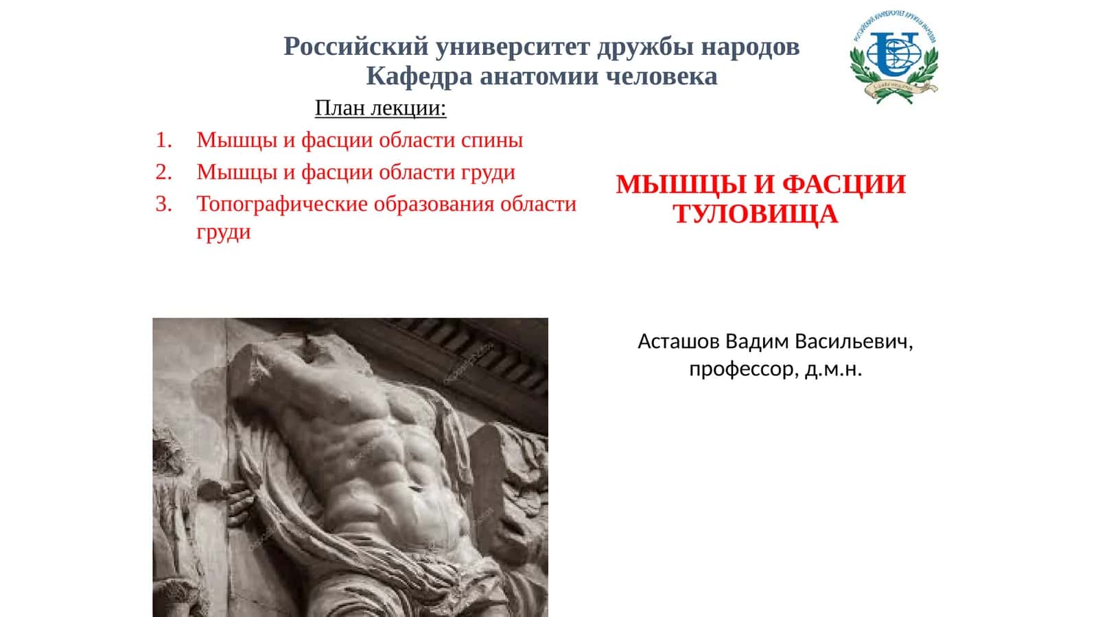 Мышцы и фасции туловища