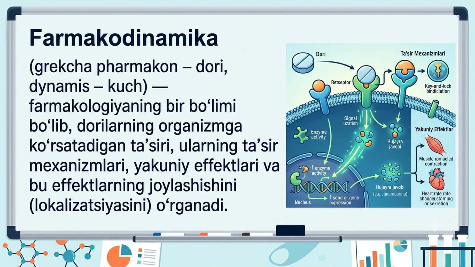 Farmakodinamika. Retseptorlar.