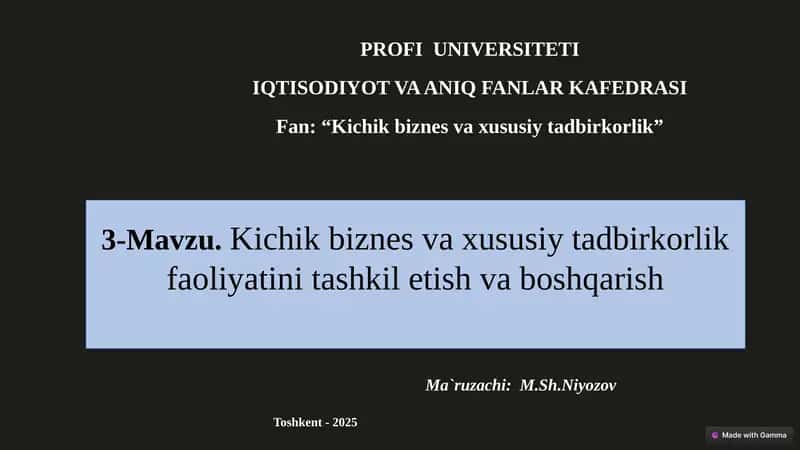 Kichikbiznesvaxususiytadbirkorlik