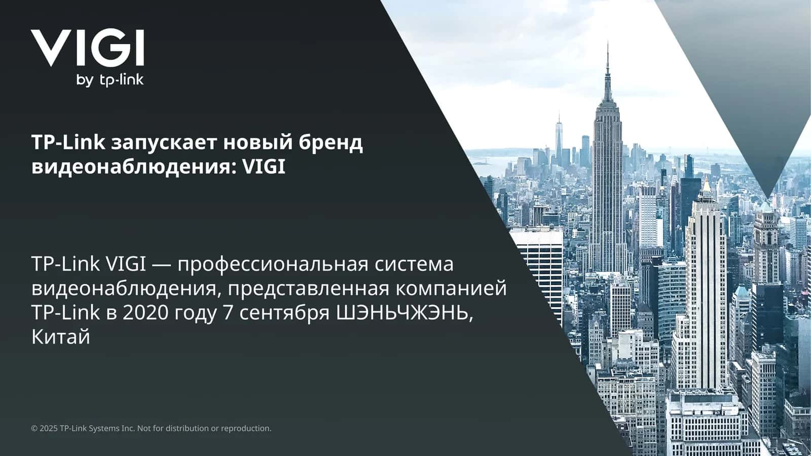 TP-Link VIGI