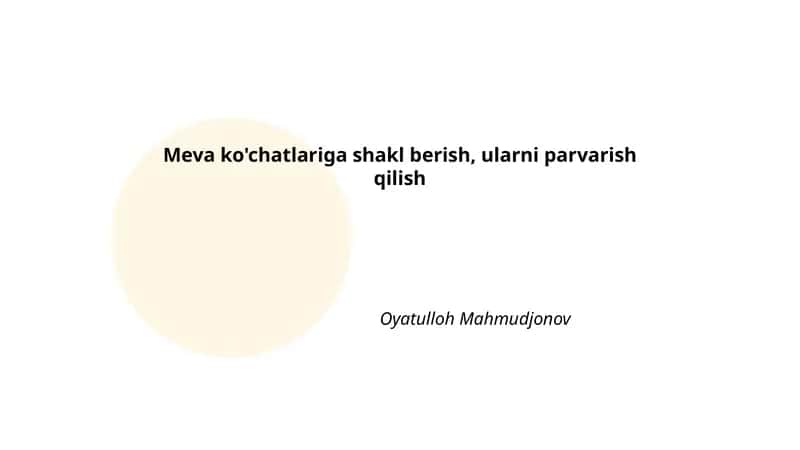 Meva ko'chatlariga shakl berish, ularni parvarish qilish
