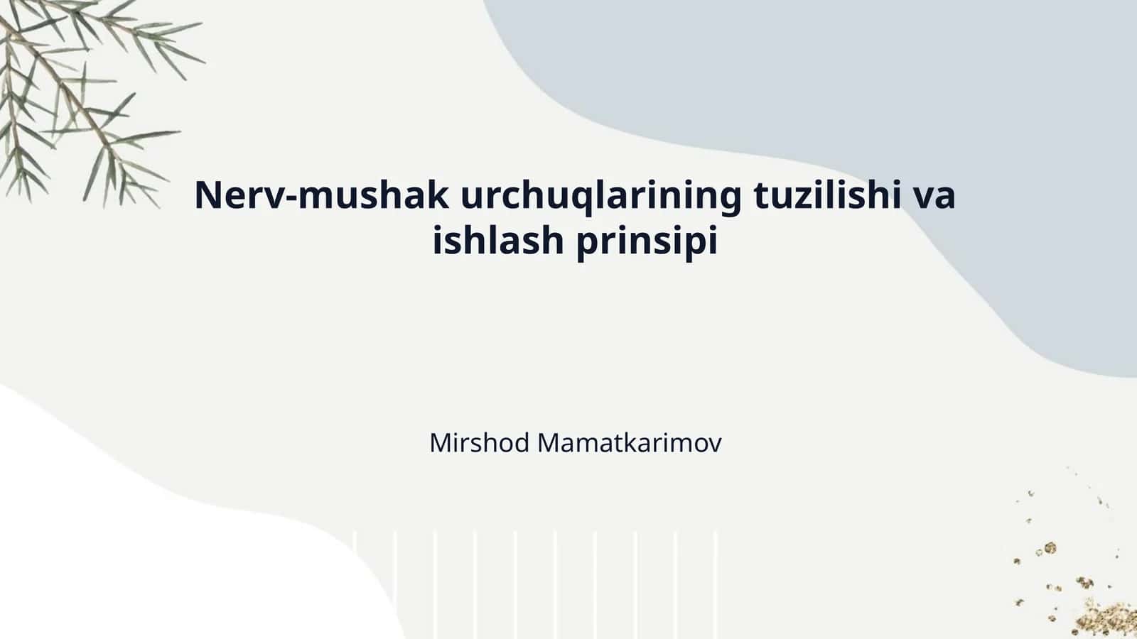Nerv-mushak urchuqlarining tuzilishi va ishlash prinsipi