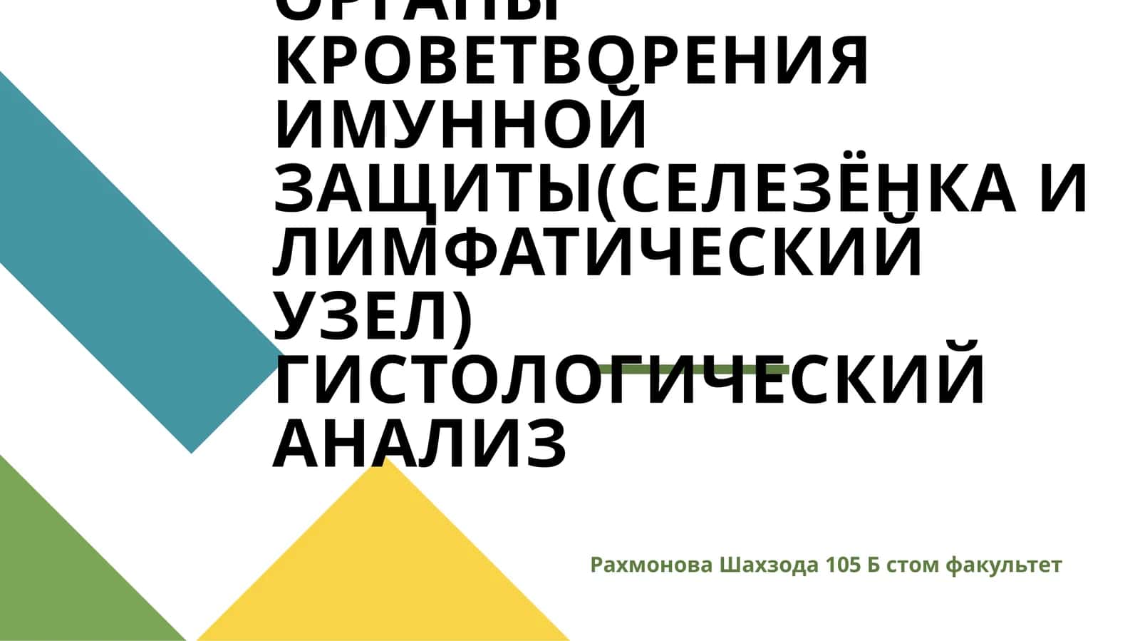 ПЕРИФЕРИЧЕСКИЕ ОРГАНЫ КРОВЕТВОРЕНИЯ ИМУННОЙ ЗАЩИТЫ(СЕЛЕЗЁНКА И ЛИМФАТИЧЕСКИЙ УЗЕЛ) ГИСТОЛОГИЧЕСКИЙ АНАЛИЗ