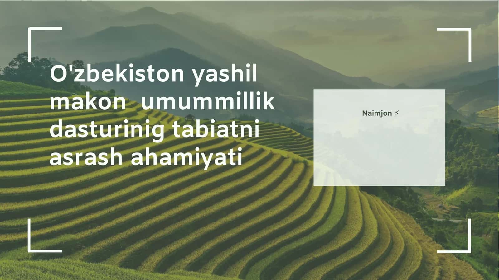 Yashil makonlarning ekologik va ijtimoiy ahamiyati