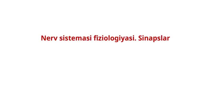 Nervsistemasifiziologiyasi.Sinapslar