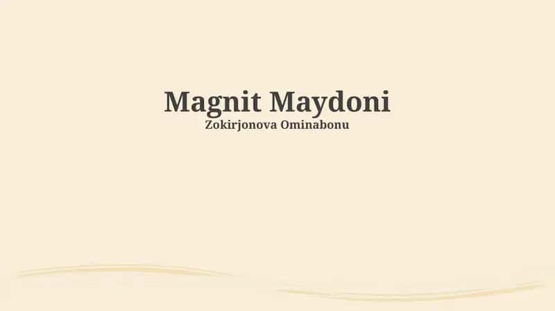 Magnit Maydoni
