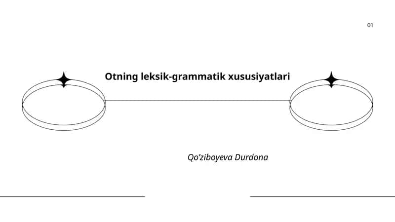Otning leksik-grammatik xususiyatlari