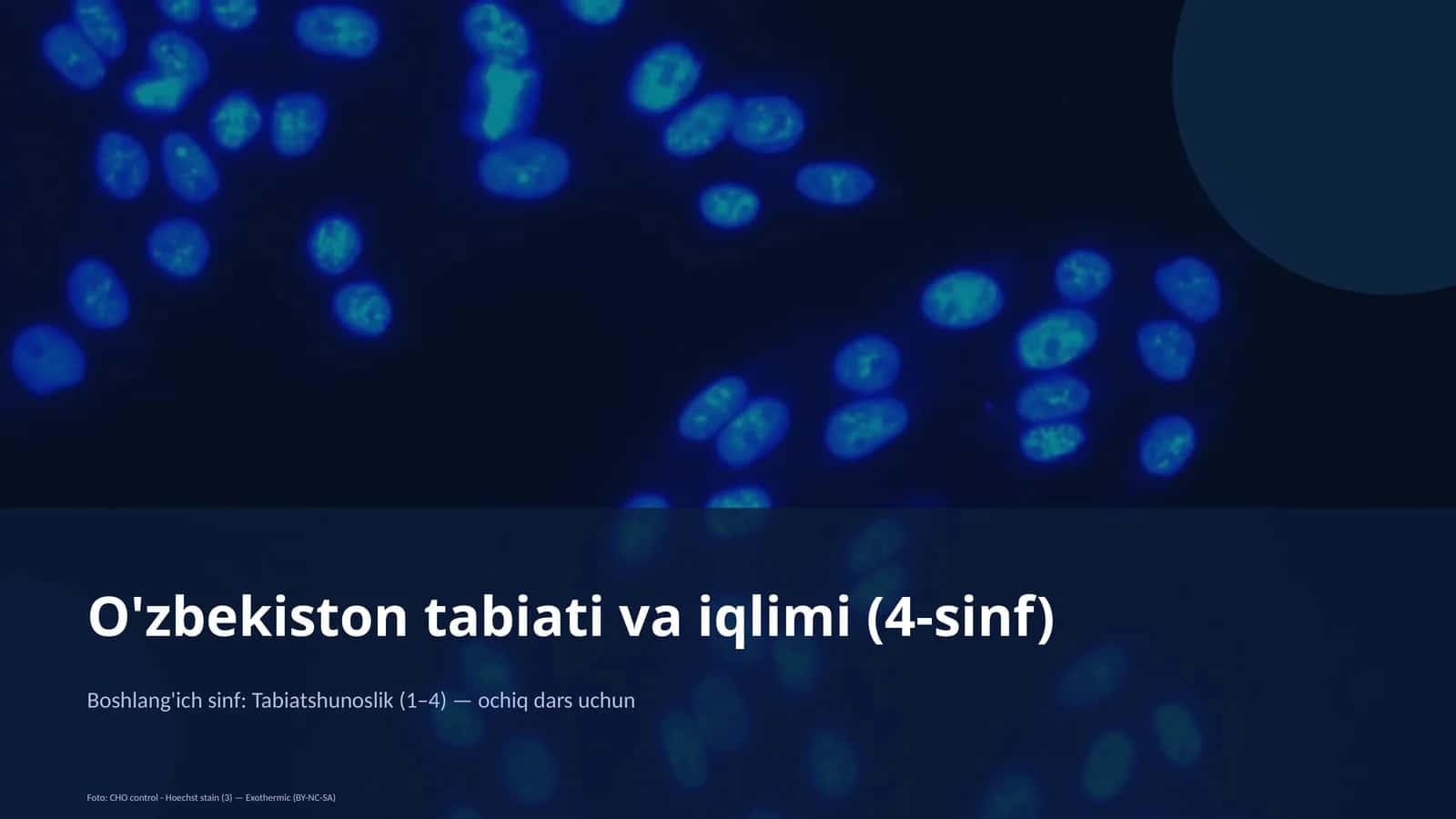 O'zbekiston tabiati va iqlimi (4-sinf)