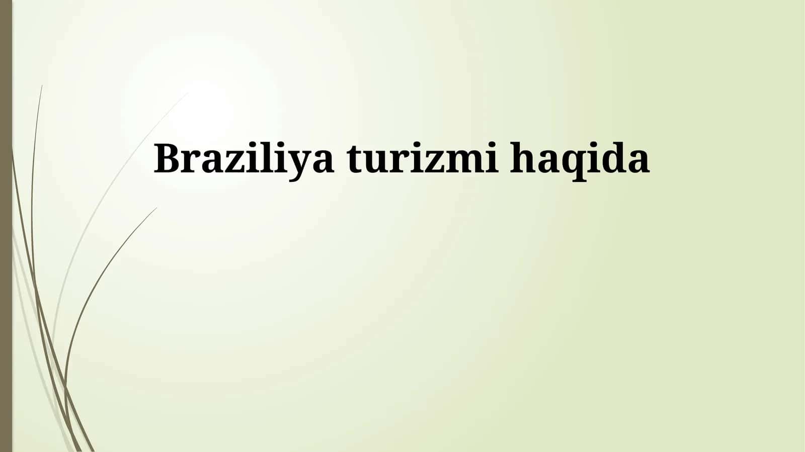 Braziliya turizmi haqida