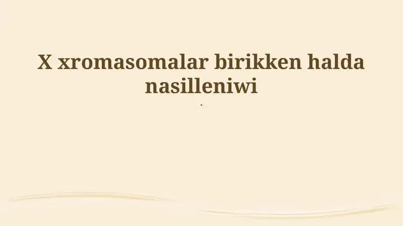 X Xromasomalar
