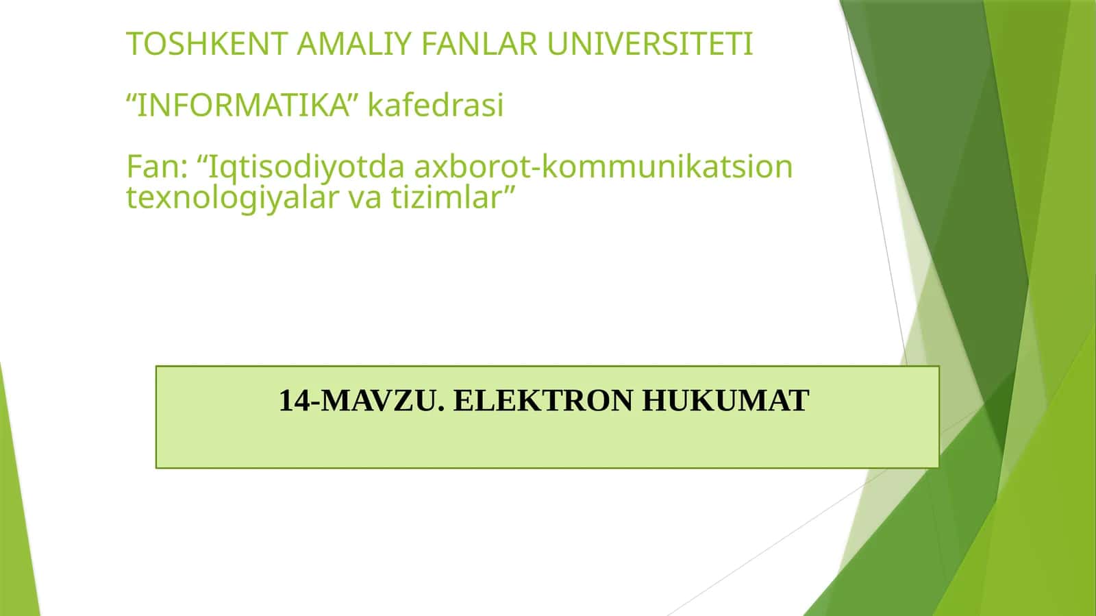 ELEKTRONHUKUMAT