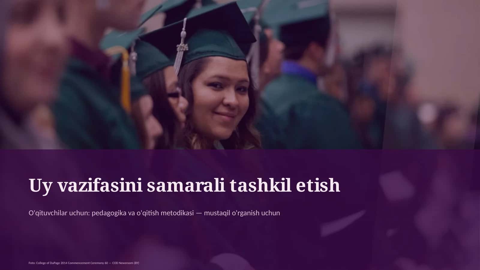 Dars rejasi