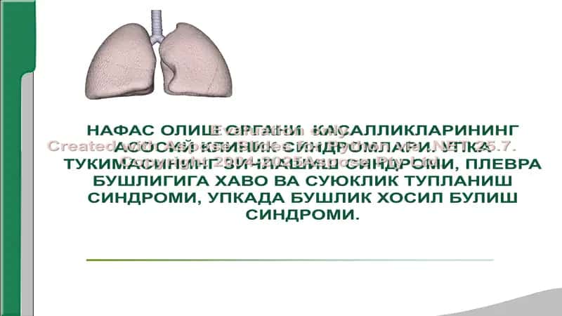 НАФАС ОЛИШ ОРГАНИ КАСАЛЛИКЛАРИНИНГ АСОСИЙ КЛИНИК СИНДРОМЛАРИ. УПКА ТУКИМАСИНИНГ ЗИЧЛАШИШ СИНДРОМИ, ПЛЕВРА БУШЛИГИГА ХАВО ВА СУЮКЛИК ТУПЛАНИШ СИНДРОМИ, УПКАДА БУШЛИК ХОСИЛ БУЛИШ СИНДРОМИ.