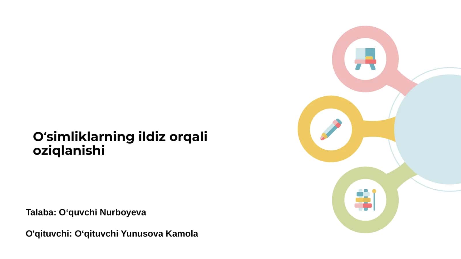 Oʻsimliklarning ildiz orqali oziqlanishi