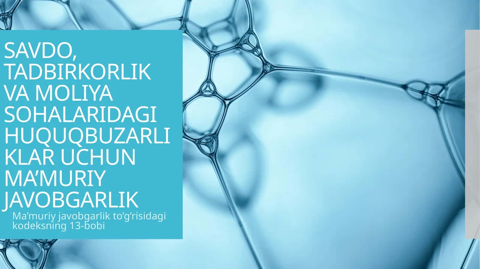 SAVDO, TADBIRKORLIK VA MOLIYA SOHALARIDAGI HUQUQBUZARLIKLAR UCHUN MAʼMURIY JAVOBGARLIK