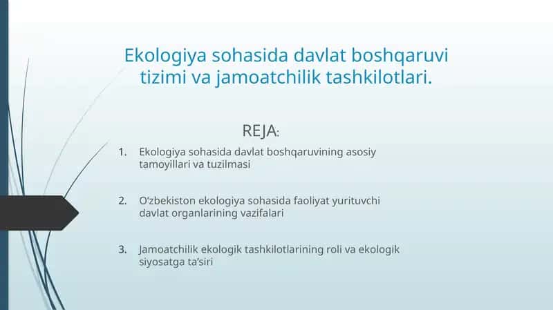 Ekologiyasohasida davlat boshqaruvining asosiy tamoyillari va tuzilmasi