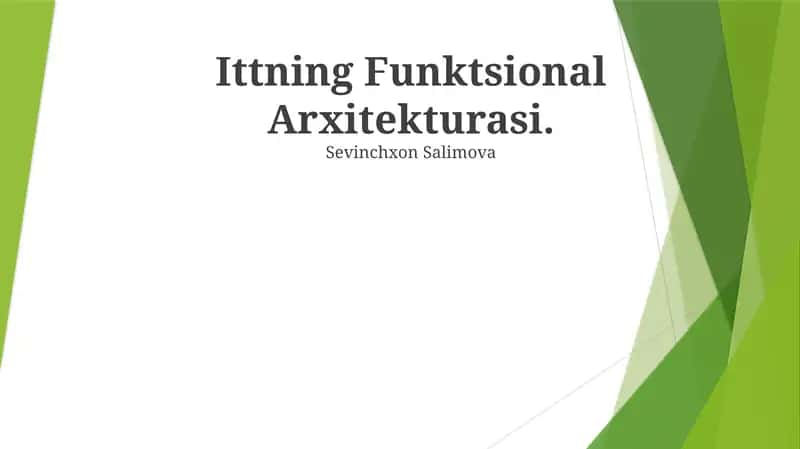 Ittning Funktsional Arxitekturasi