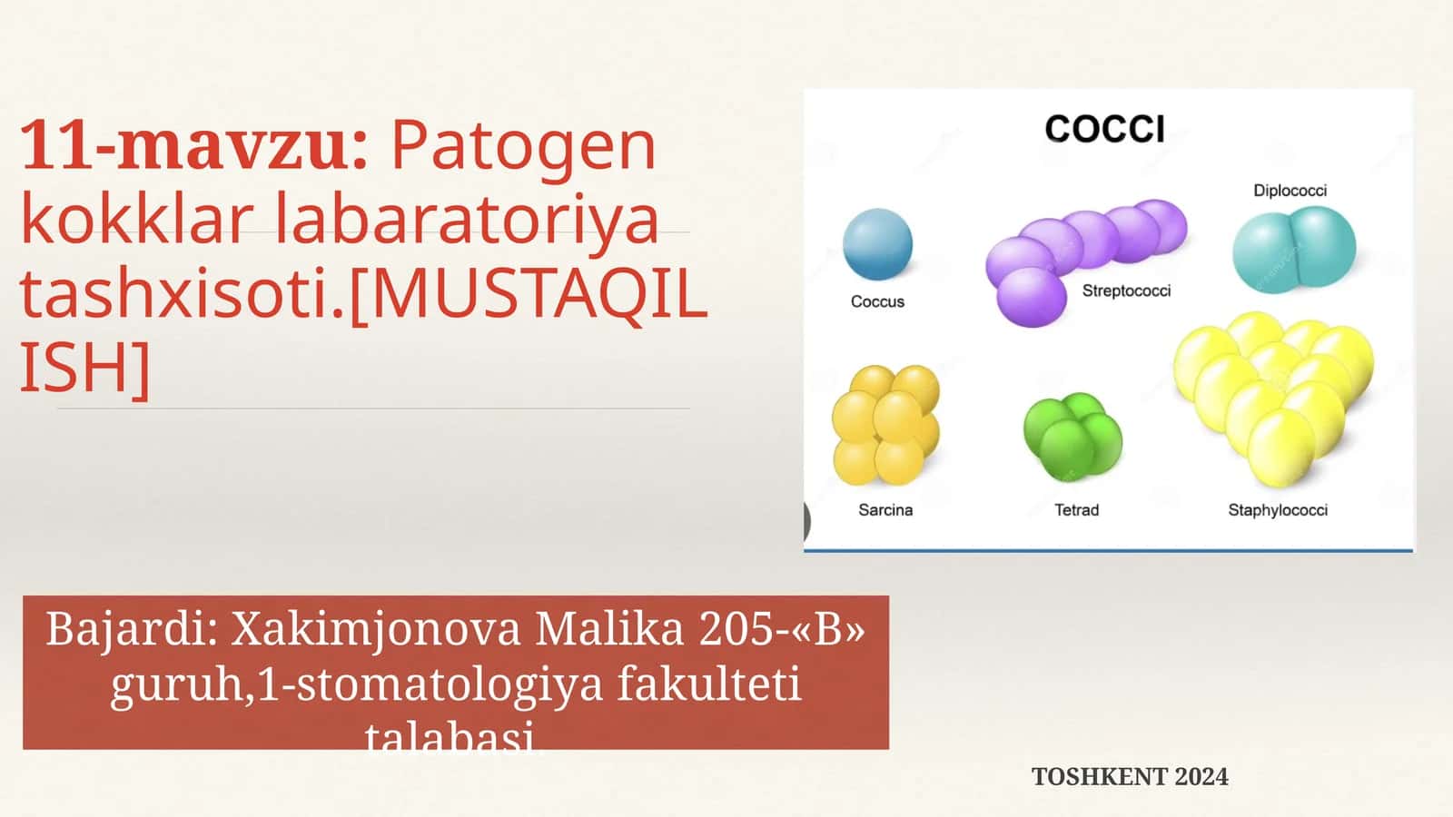 Patogen kokklar labaratoriya tashxisoti