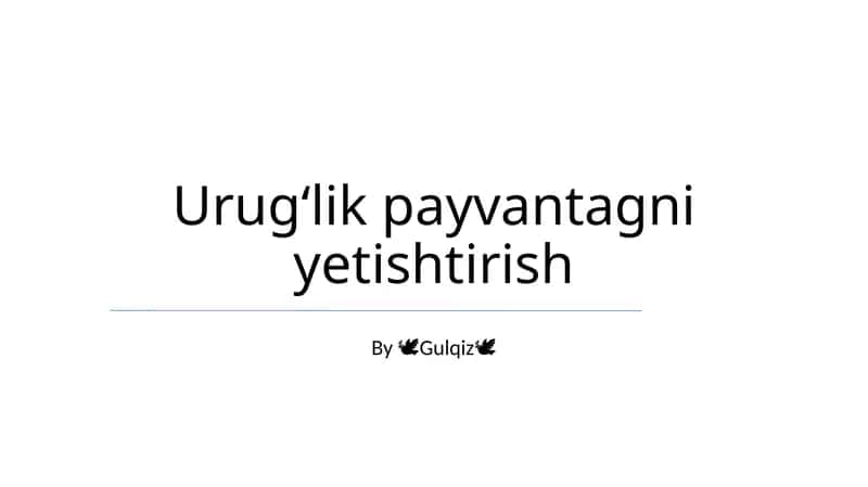 Urugʻlik payvantagni yetishtirish