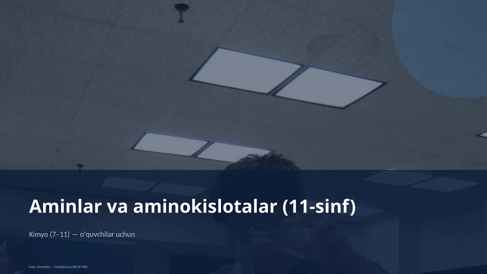 Aminlar va aminokislotalar (11-sinf)