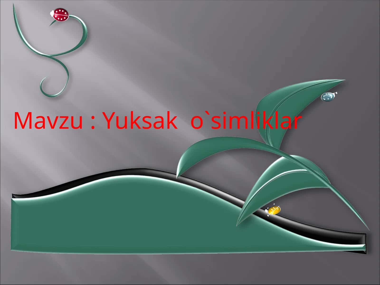 Yuksak o`simliklar