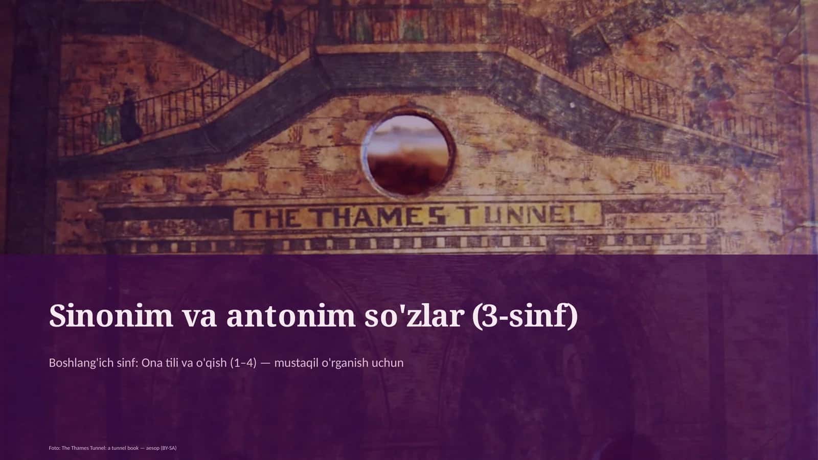 Sinonim va antonim so'zlar (3-sinf)