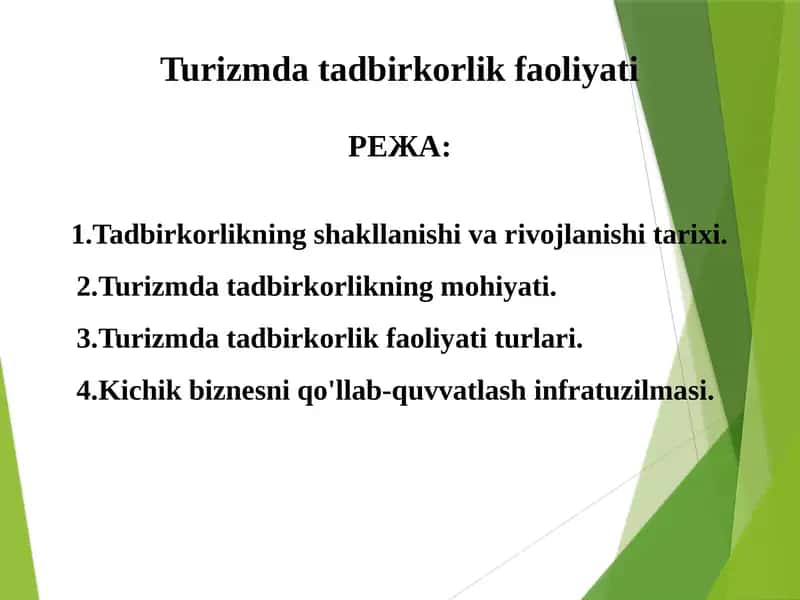 Turizm datadbirkorlik faoliyati