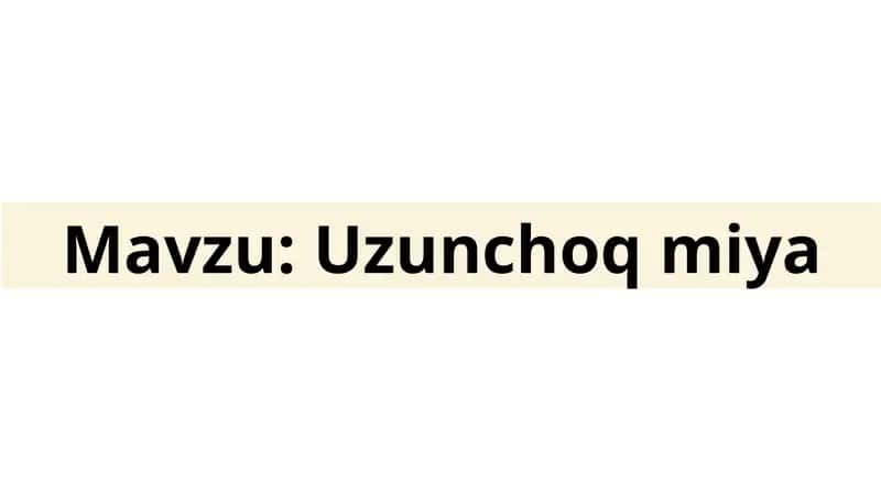 Uzunchoq miya taqdimot