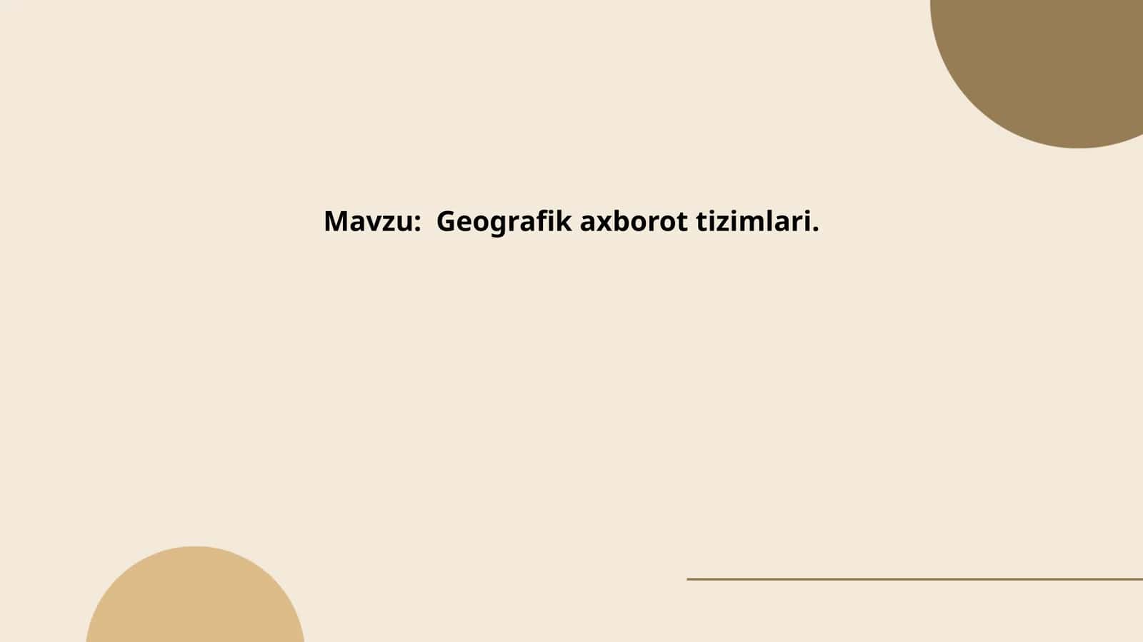 Geografik axborot tizimlari