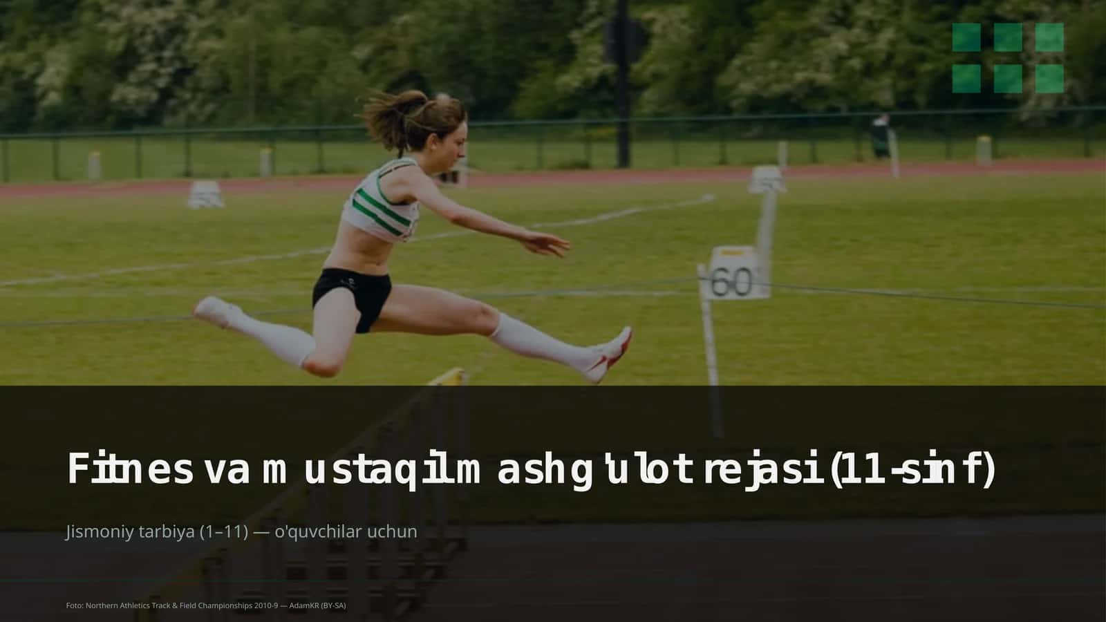 Fitnes va mustaqil mashg'ulot rejasi (11-sinf)