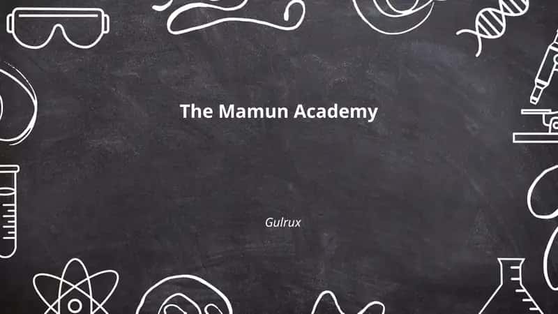 The Mamun Academy