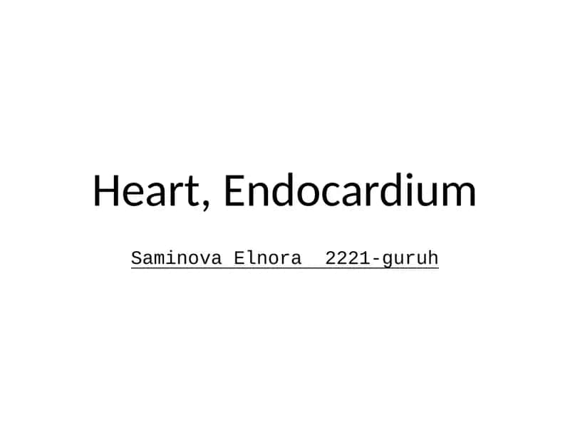 Endocardium