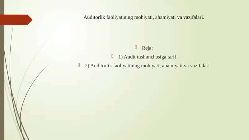 Auditorlik faoliyatining mohiyati, ahamiyati va vazifalari