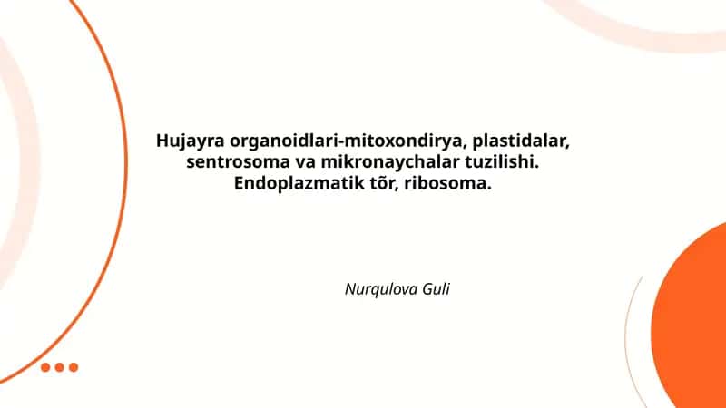 Hujayra Organoidlari
