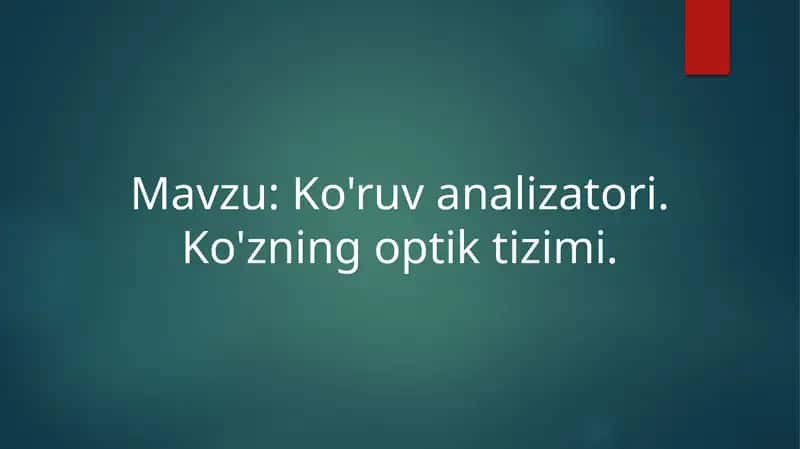 Ko'ruvanalizatori