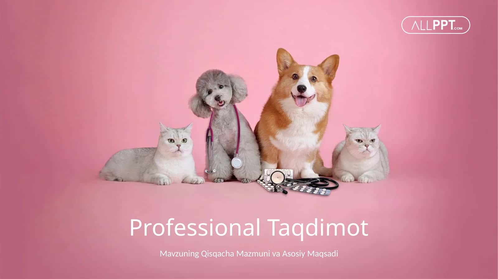 Veterinariya Klinikasi va Hayvonlar Sog'lig'i Xizmatlari Taqdimoti (48 Slayd)