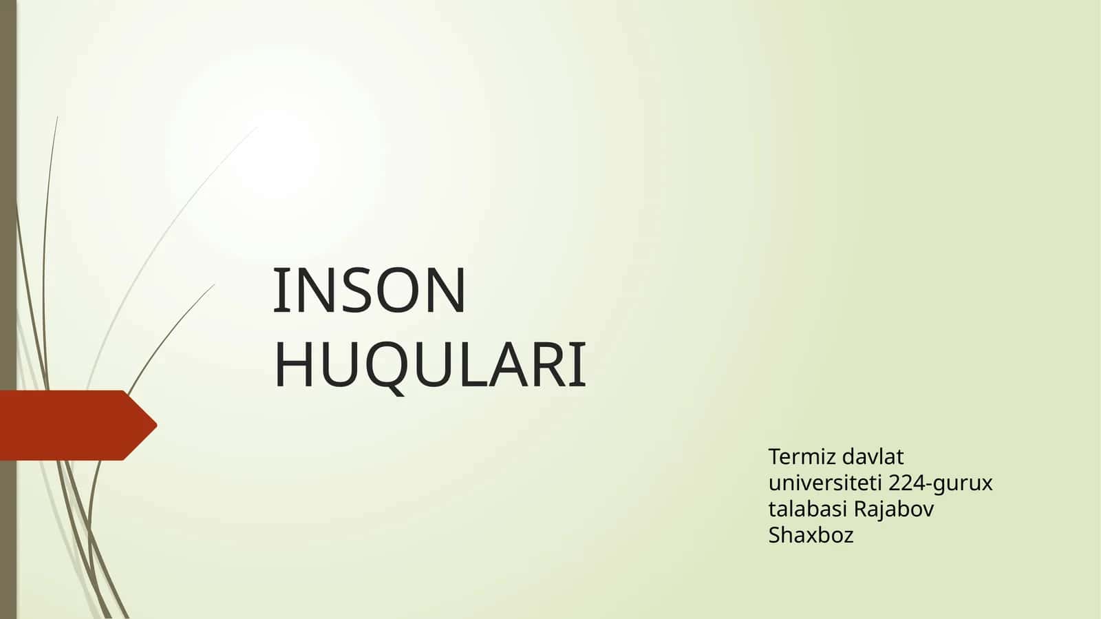 INSON HUQULARI